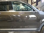 2020 Kia Telluride Front Door Gray Right Passenger. Fixed Price $950.00.