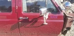91 Ford F350 Xlt Lariat Door Front Right Passenger Maroon Crew Cab With Mirror. Fixed Price $420.75.