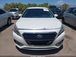 Passenger Front Door Electric Korea Built Hybrid Fits 16-19 Sonata 2498157. Fixed Price $493.45.