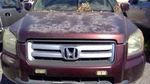Fuel Tank Fits 05-08 Pilot 1180149. Fixed Price $324.90.