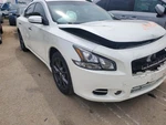 (local Pickup Only) Fuel Tank Fits 13-14 Maxima 1702522. Fixed Price $199.90.