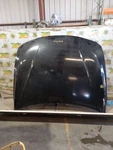 Hood Fits 12-18 Bmw 320I 4127137. Fixed Price $324.99.