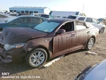 Right Burgundy Front Door Assembly Oem 16-20 Optimakia. Fixed Price $175.00.