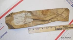 Nos Mopar 1970 71 72 Dodge Dart Plymouth Scamp Quarter Panel End Cap Trim Lh. Fixed Price $99.95.