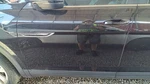 Driver Left Front Door Fits 20-24 Atlas Cross Sport 2503681. Fixed Price $1545.00.
